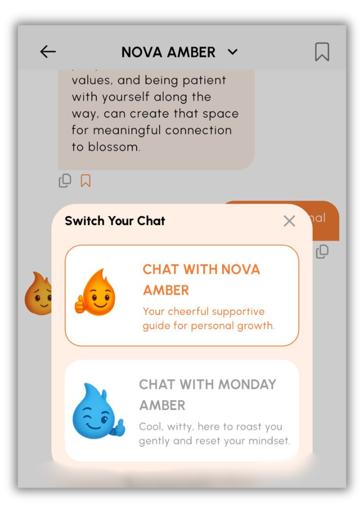 Chat with Amber